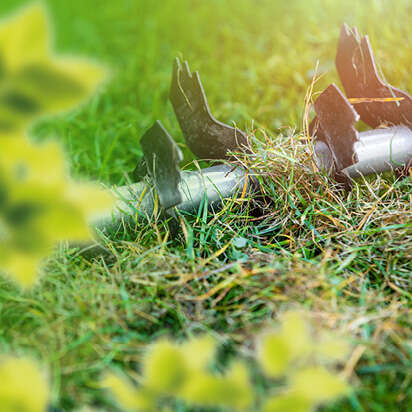 Detailansicht eines Vertikutierers auf grünem Gras mit Unkraut und Pflanzen im Vordergrund.